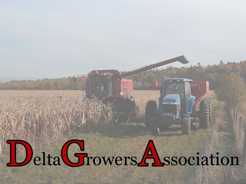 Delta Growers Association
